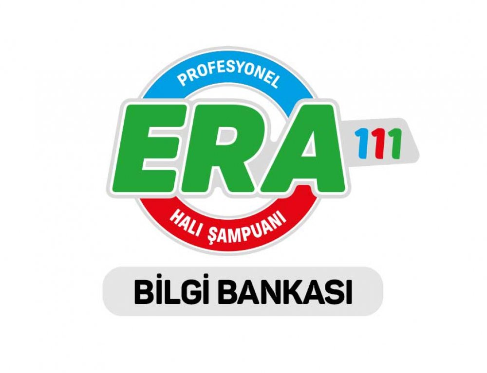 Halı Yıkama Aşamaları ve Genel Prosesler