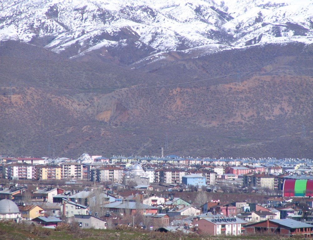 Bingöl Halı Yıkama Şampuanı