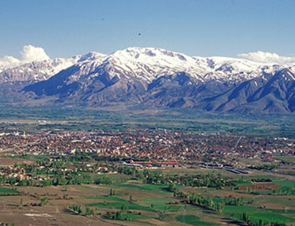 Erzincan Halı Yıkama Şampuanı