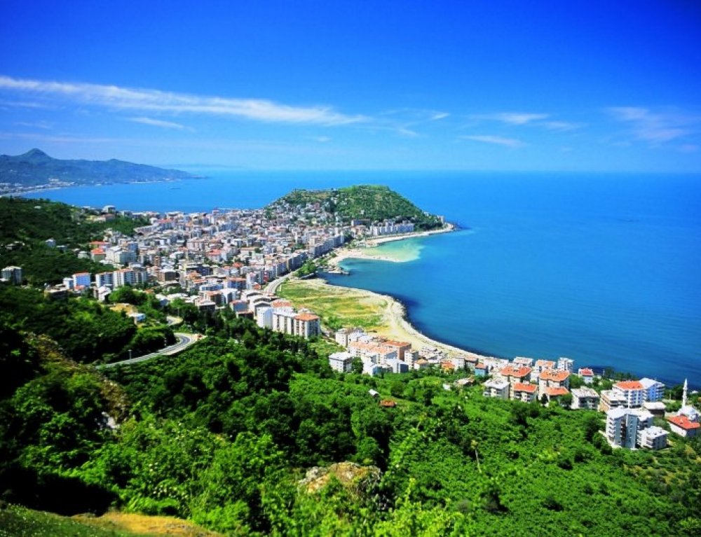 Giresun Halı Yıkama Şampuanı