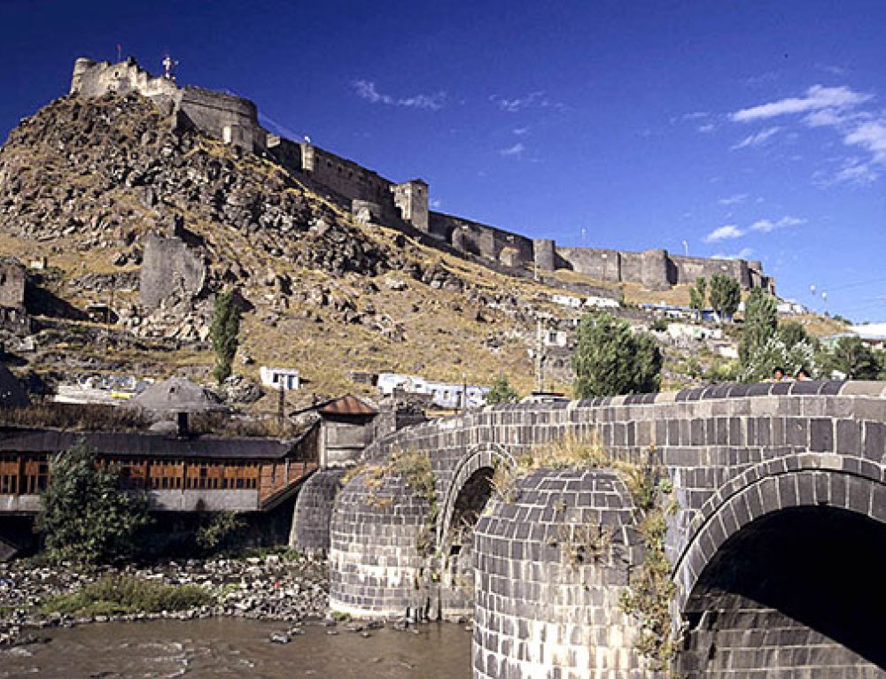 Kars Halı Yıkama Şampuanı