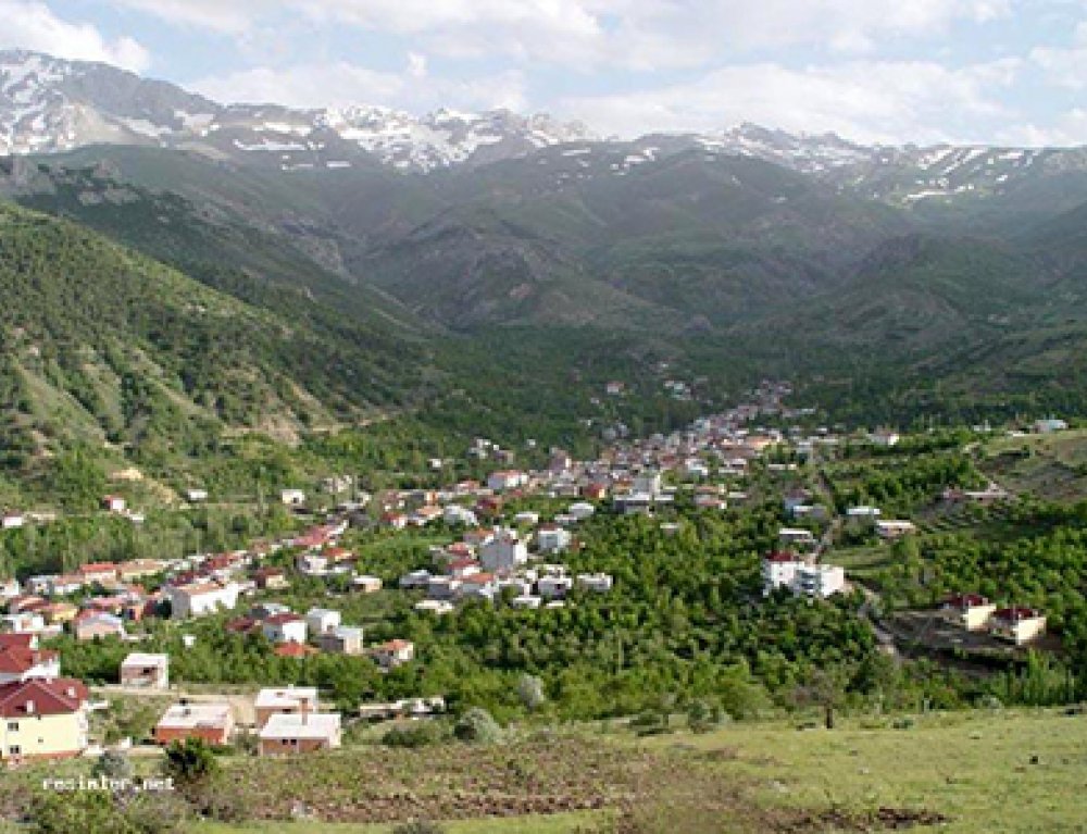 Niğde Halı Yıkama Şampuanı