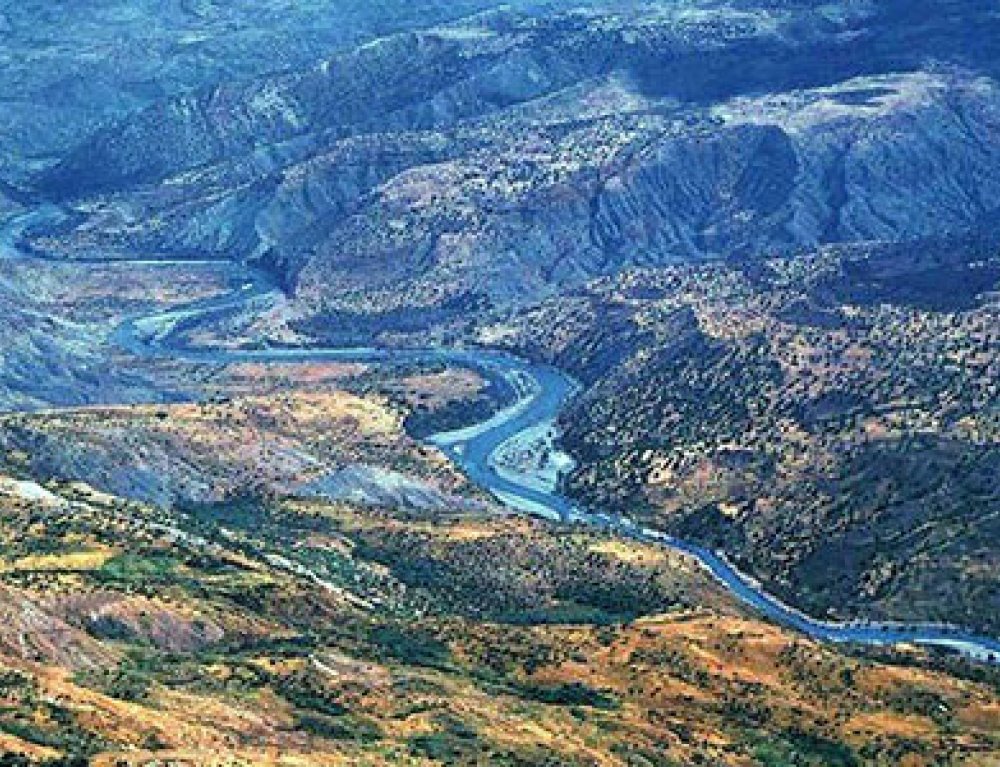 Siirt Halı Yıkama Şampuanı