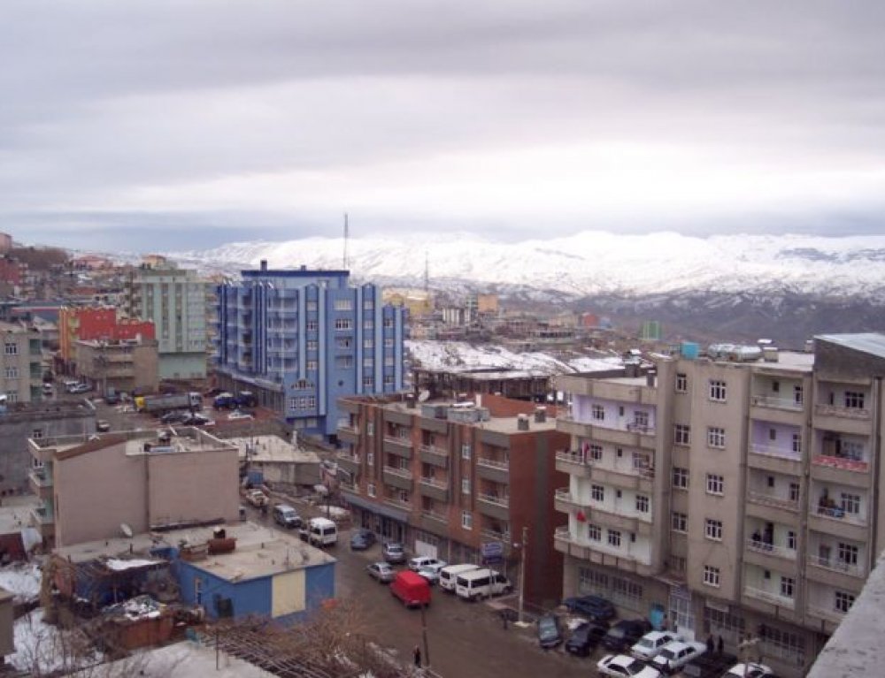 Şırnak Halı Yıkama Şampuanı