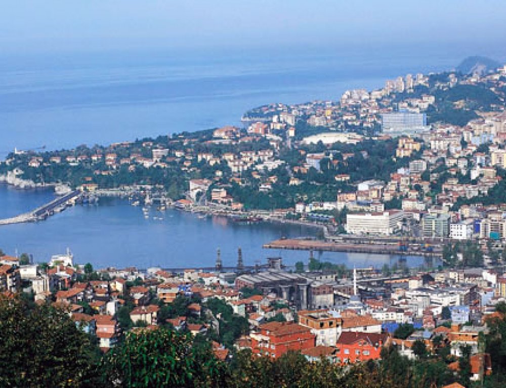 Zonguldak Halı Yıkama Şampuanı